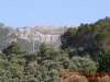 200507_alfabia_06