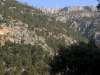 200507_alfabia_07