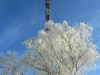 boppard01