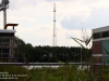 20130827_brunsbuettel_03-jpg