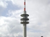 feldberg1