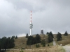 feldberg3