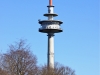 20120323_hennstedt_01