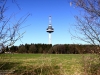 20120323_hennstedt_02