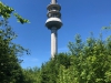 Sender Markt Wald (Mittelneufnach) am 02. Juni 2019