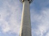 Der Sky Tower in Auckland/Neuseeland am 30. September 2010