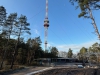 Sender Verden/Kirchlinteln-Luttum am 11. Januar 2025