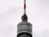 20120612_wien_donauturm_02